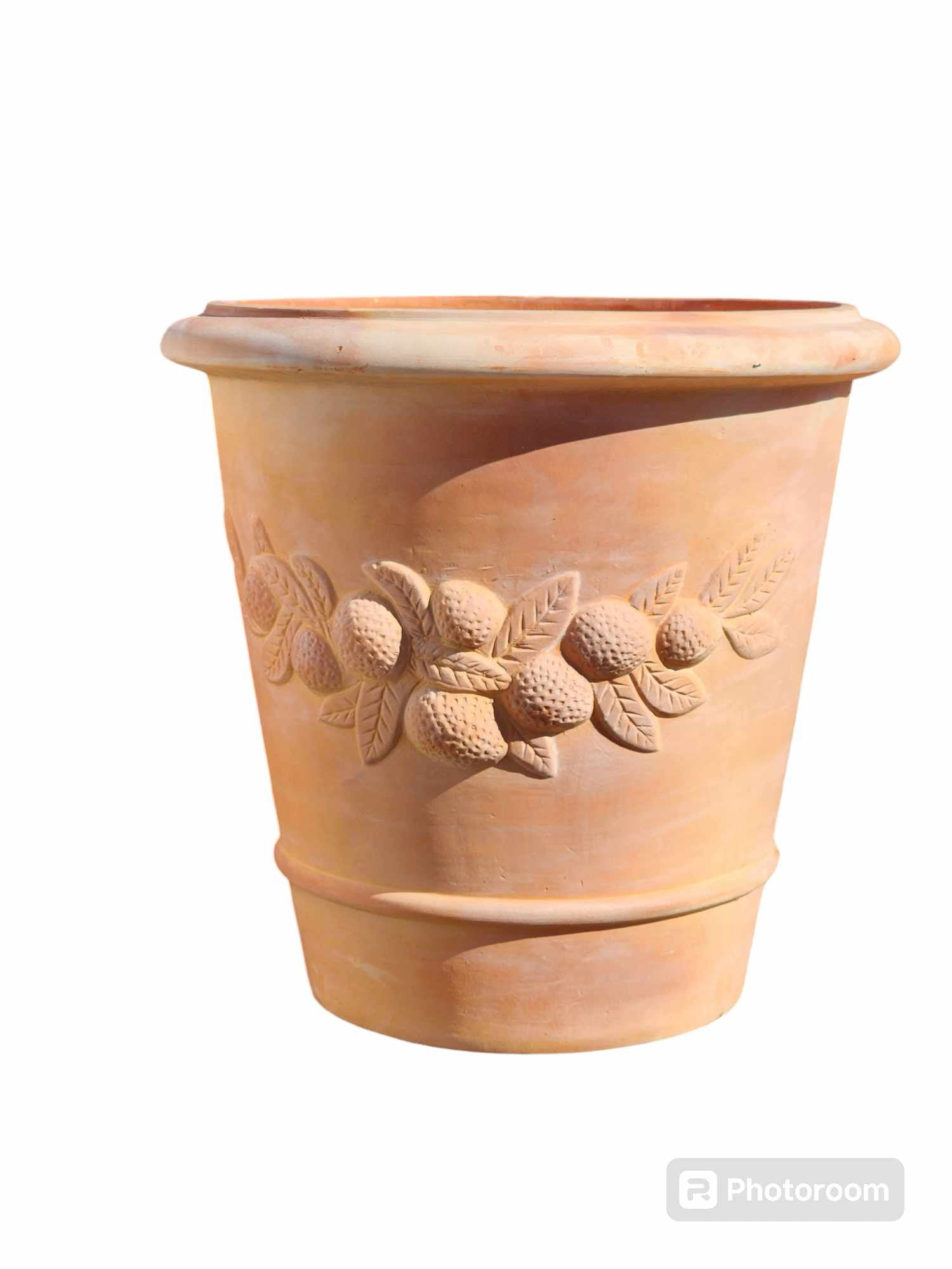 Terracotta Citrus Pot