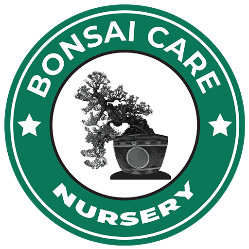 Bonsai Care